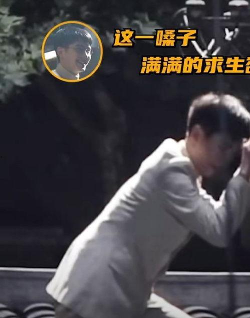 小凯娱乐爆料视频,揭秘娱乐圈幕后真相